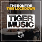 cover: The Bonfire - This Lockdown