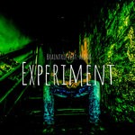 cover: Braintrip - Experiment