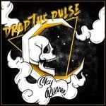 cover: Drop The Pulse - Sky Runner