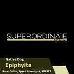 cover: Native Dog - Epiphyite (Remixes)