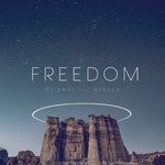 cover: DJ Andi - Freedom