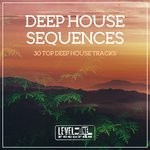 cover: Miguel Serrano|Various - Deep House Sequences (30 Top Deep House Tracks)