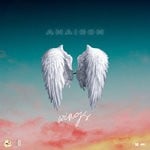 cover: Anaicon - Wings