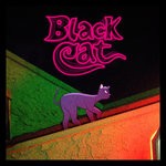 cover: Valley Boy - Black Cat