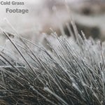 cover: Cold Grass - Footage