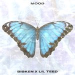 cover: Bisken|Lil Teed - Mood (Explicit)