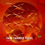 cover: Sound Of 962 - Two Orange Reeds