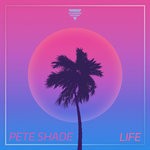 cover: Pete Shade - Life (Extended Mix)