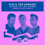 cover: Tom Gregory|Vize - Never Let Me Down