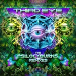 cover: Aday|Jumpstreet|Microsphere|Oksha|Shadow Shaman|Weirdbass|Z3nkai|Zzbing - Third Eye (The Psilocyburns Remixes)