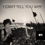 cover: Groove Junkies|Nichelle Monroe|Reelsoul - I Can't Tell You Why (Groove N' Soul Mixes)