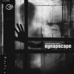 cover: Synapscape - A Journey Through Concern