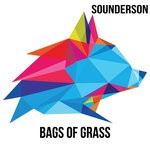 cover: Sounderson - Bags Of Grass