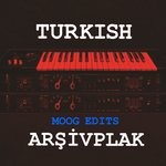 cover: Arsivplak - Turkish Moog Edits