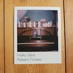 cover: Haiku Salut - Pattern Thinker