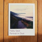 cover: Haiku Salut - Portrait In Dust