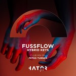 cover: Fussflow - Hybrid Keys