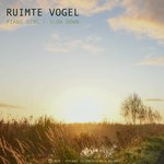 cover: Ruimte Vogel - Piano Ding/Slow Down