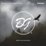 cover: Dave Till|Everex - Falcon