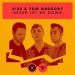 cover: Tom Gregory|Vize - Never Let Me Down