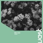 cover: Max Lake - Shapes