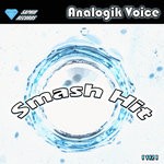 cover: Analogik Voice - Smash It