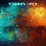 cover: Djcybertsai - Running Wild