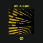 cover: Egoiz - Flash Bake