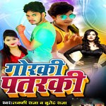 cover: Lucky Raja - Saiya Mare Bhar Pet