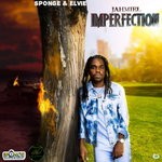 cover: Jahmiel - Imperfection