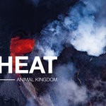 cover: Animal Kingdom - Heat EP