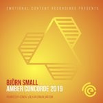 cover: Bjorn Small - Amber Concorde 2019