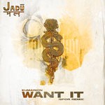 cover: Kumarion & Spor - Want It