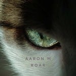 cover: Aaron M - Roar