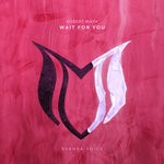 cover: Robert Maya - Wait For You