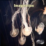 cover: Vid - Imagination