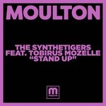 cover: The Synthetigers|Tobirus Mozelle - Stand Up