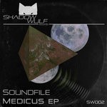 cover: Soundfile - Medicus