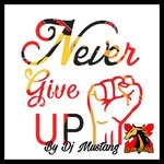 cover: Dj Mustang - Never Give Up