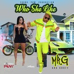 cover: Mr G - Who She Like