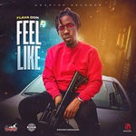 cover: Flava Don - Feel Like (Explicit)