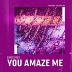 cover: Chris Voss - You Amaze Me