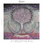 cover: Various - Voltaire Music Pres.: Atmospheric Vol 9