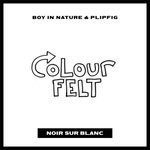 cover: Boy In Nature & Plipfig - Colour Felt