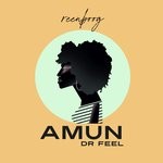 cover: Dr Feel - Amun