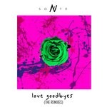 cover: Sgntr - Love Goodbyes (remixes)