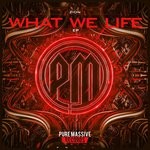 cover: Zion - What We Life