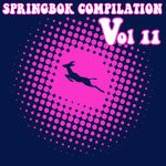 cover: Various - Springbok Compilation Vol 11