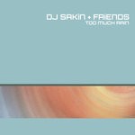 cover: Dj Sakin & Friends - Too Much Rain