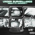 cover: Frosty - Under Surveillance (Explicit)